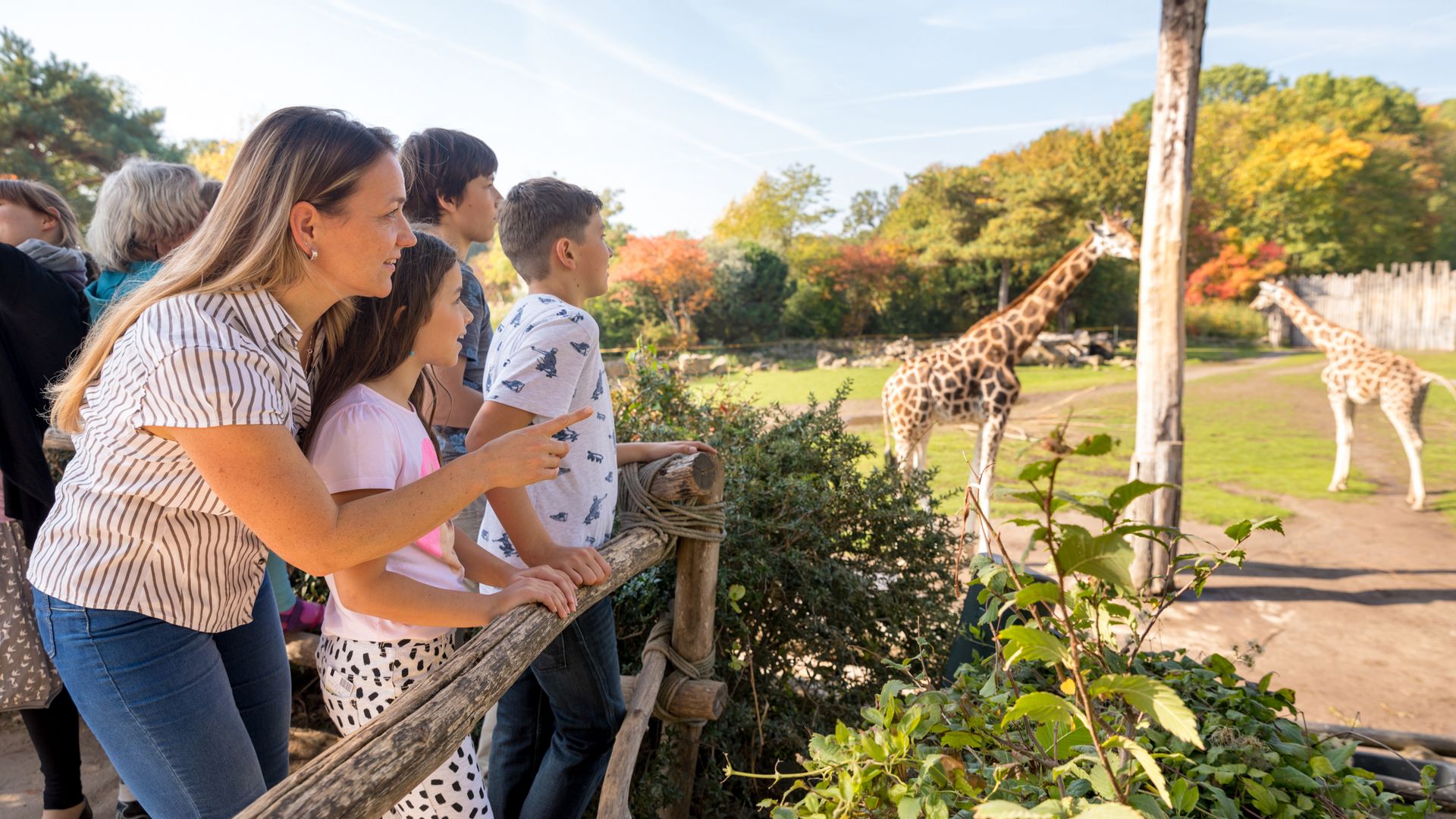 Eine Mutter mit Kindern betrachtet bei einem Familienausflug Giraffen bei bestem Sonnenschein in der Außenanlage des Zoo Leipzig