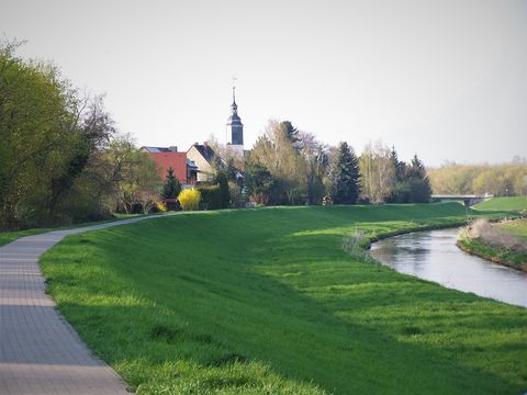 Das Bild zeigt einen geteerten Radweg links von der Pleiße, im Hintergrund sieht man die Dächer der Kleinstadt.