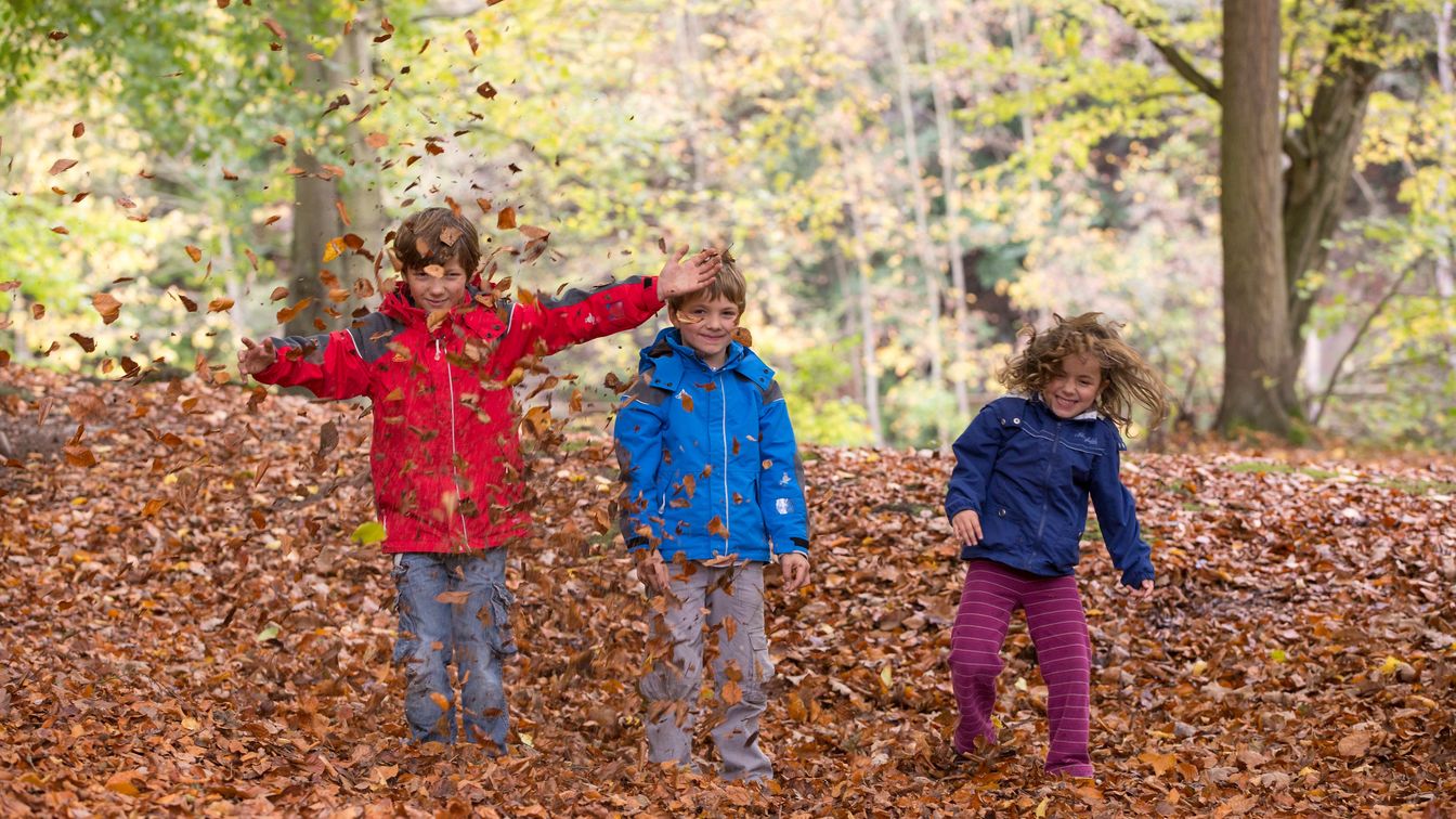 Bei einer Wanderung spielen Kinder im Herbstlaub.