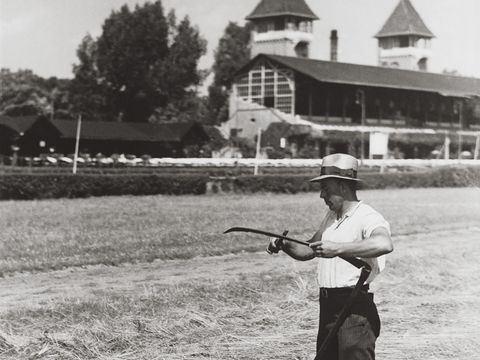 Historische Aufnahme von der Heuernte auf der Rennbahn Scheibenholz, um 1930 fotografiert.