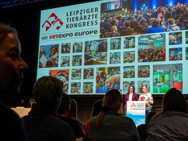 13. Leipziger Tierärztekongress mit VETEXPO Europe 2026 | Leipzig Convention Bureau 13. Leipziger Tierärztekongress mit begleitender VETEXPO Europe 2026 – präsentiert vom Leipzig Convention Bureau