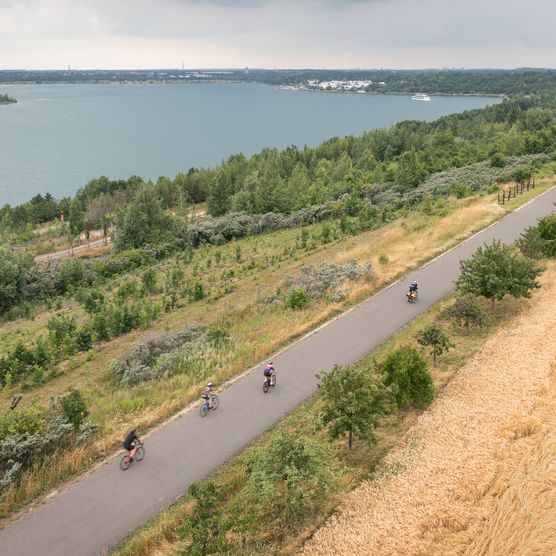 Das Bild zeigt ein Luftbild der Landschaft rund um den Markkleeberger See