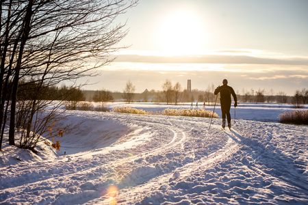 Ein Langläufer genießt die winterliche Landschaft am Cospudener See.