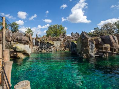 Eröffnung Feuerland im Zoo Leipzig - Foto: Andreas Schmidt