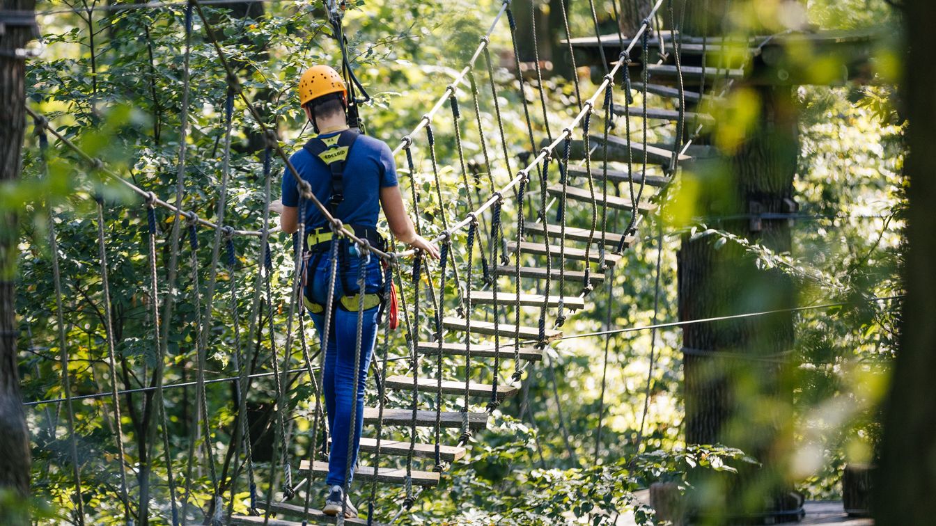 Ein Mann läuft zwischen den Bäumen im Kletterwald über eine Hängebrücke.
