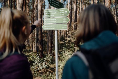 Das Bild zeigt zwei Wanderer von hinten, zwischen ihnen sieht man einen Wegweiser am Rande des Weges im Wald. unter anderem sind der Terrainkurweg und die Hammermühle angeschrieben. 