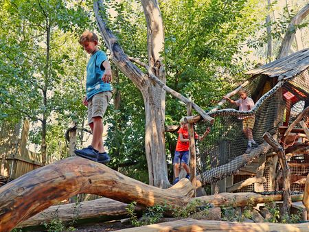 Kinder spielen auf Baumstämmen und Klettergerüsten in der ArkaZien Erlebniswelt Beiersdorf bei Leipzig