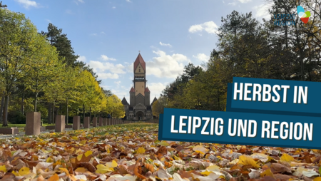 Auf dem Südfriedhof liegt im Herbst viel buntes Laub.