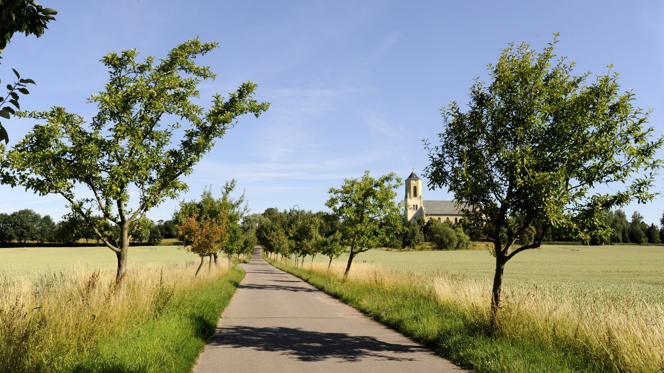 Radweg der Obstland-Route bei Leisnig, Kirche Polditz im Hintergrund