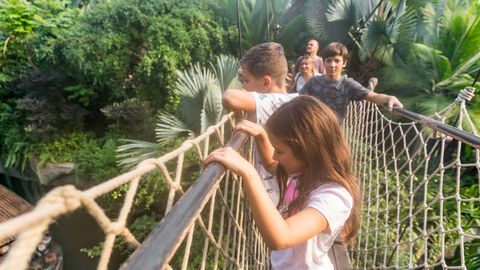 Familie mit Kindern geht über die Hängebrücke im Godwanaland im Zoo, Mädchen schaut hinab auf die Umgebung