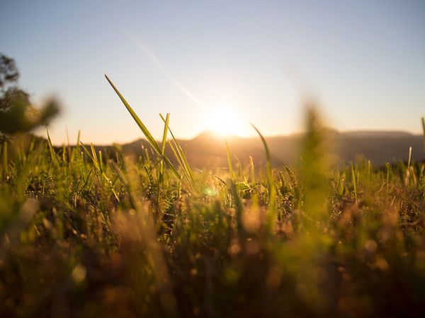 Allgemein: Barrierefreiheit: Alternativer Titel (redaktionell gepflegt)