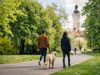 Ein Mann und eine Frau gehen gemeinsam mit ihrem Hund im Johannapark in der Leipziger Innenstadt spazieren und laufen in Richtung Neues Rathaus