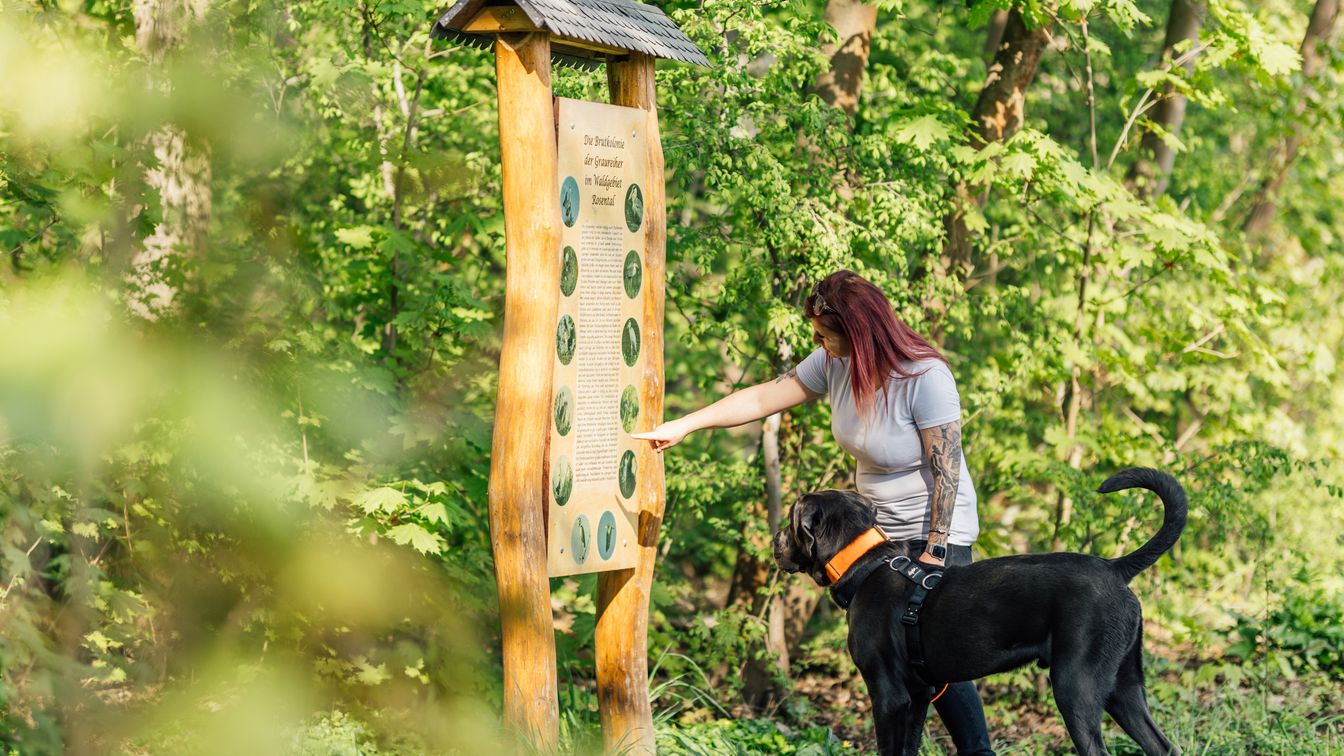 Eine Frau steht mit ihrem Hund im dicht begrünten Rosental in Leipzig vor einer Infotafel und zeigt darauf