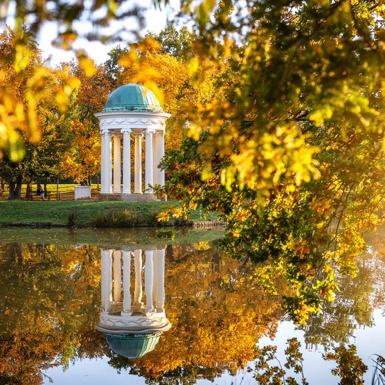 Das Bild zeigt den weißen Pavillion am Teich in der Herbstsonne. Im ganzen Park liegen schon gelbe Blätter.