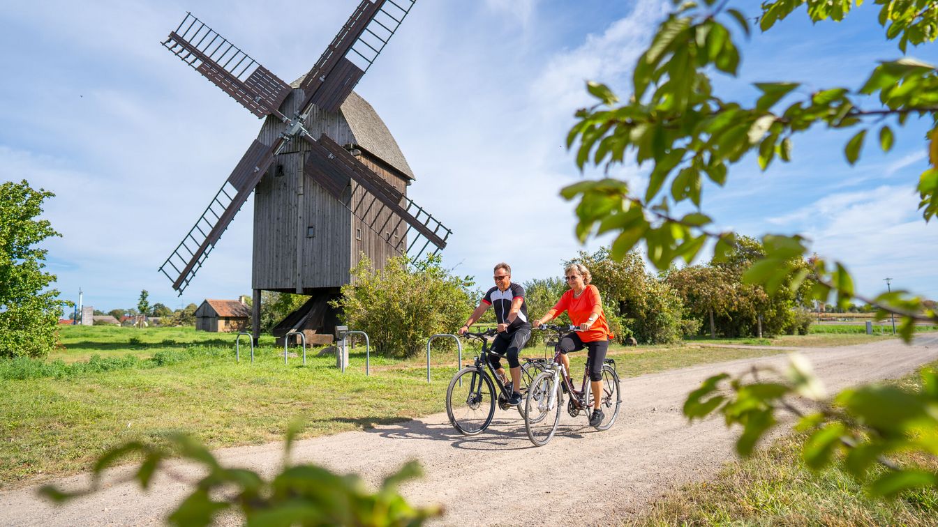 Das Bild zeigt zwei Radfahrer, die auf einem Radweg an der hölzernen Bockwindmühle in Authausen bei Bad Düben vorbei fahren.