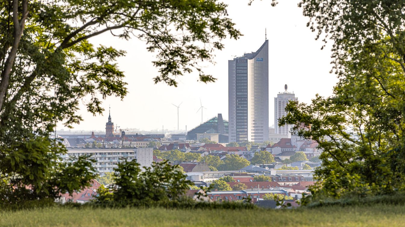 Das Bild zeigt, gerahmt von Büschen und Gras, die grandiose Aussicht auf die Dächer der Stadt und das City-Hochhaus.
