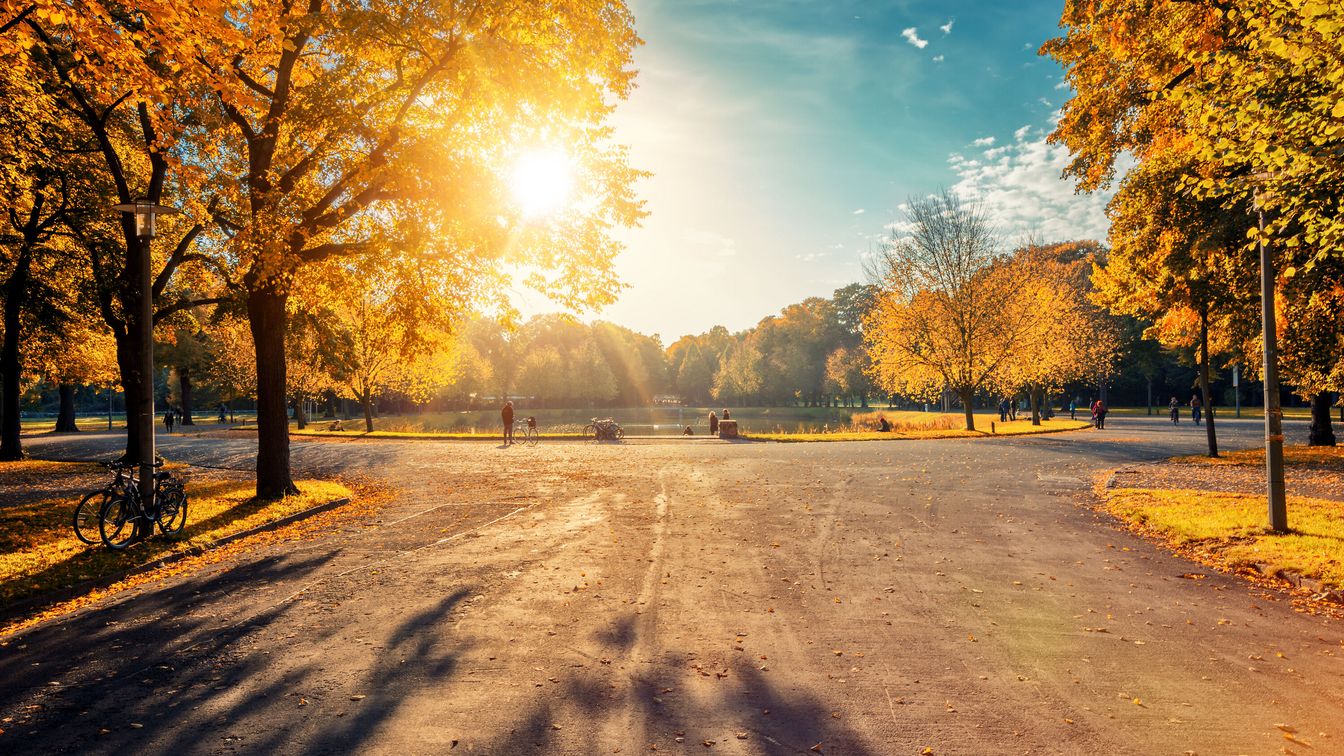 Im Herbst färben sich die vielen Laubbäume im Clara-Zetkin-Park bunt.