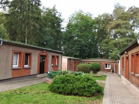 Blick auf verschiedene Bungalows umgeben von Bäumen. 