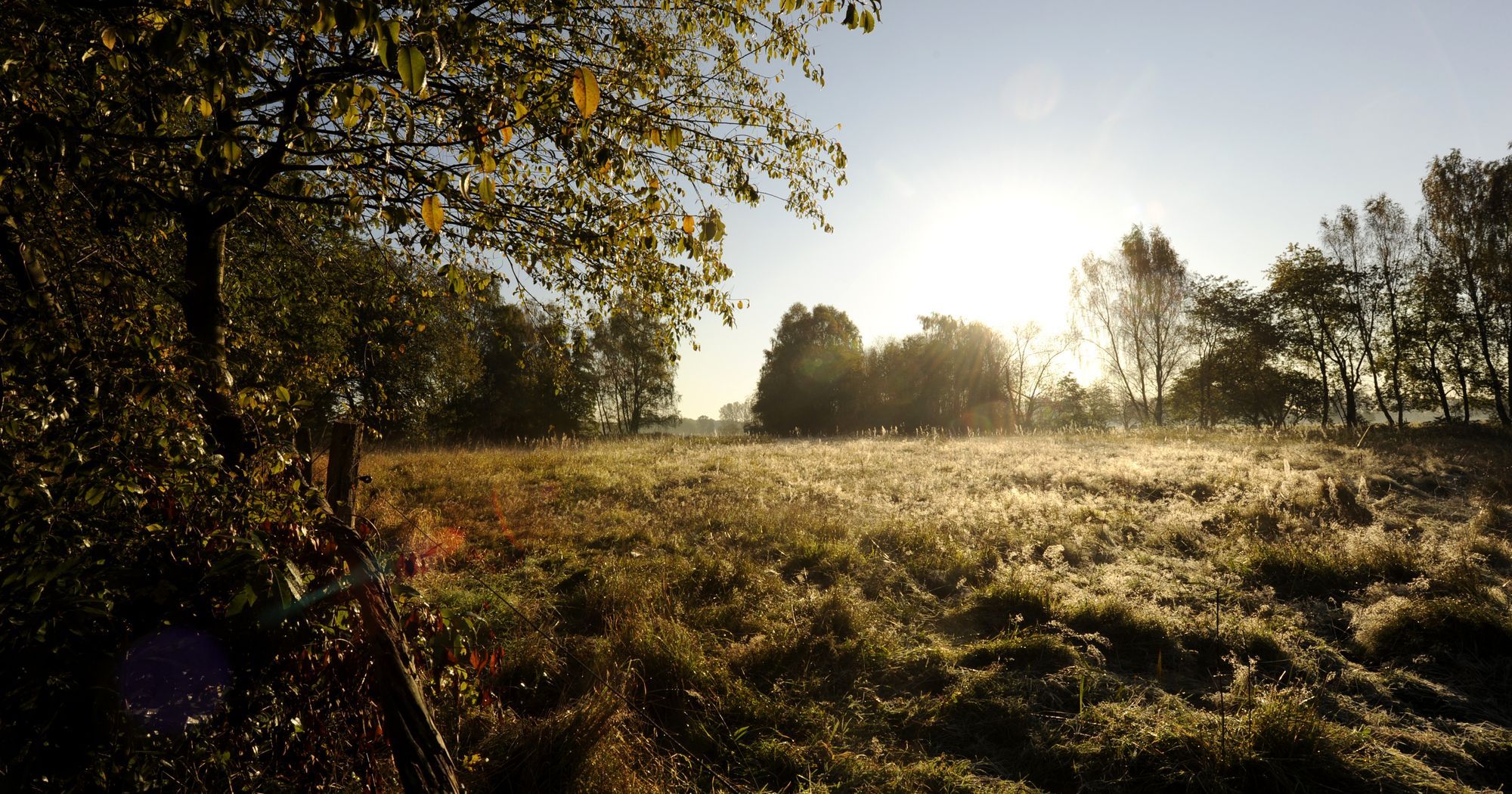 Saxon Heathland Leipzig Region saxon-heathland-leipzig-region