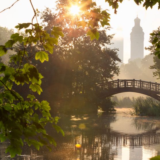 Blick auf die Holzbrücke im Johannapark vom Wasser aus.
