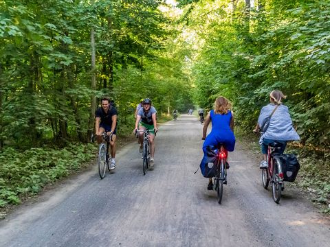 4 Radfahrer im Sommer unterwegs auf ihren Fahrrädern im Leipziger Auwald als Freizeitaktivität, Region