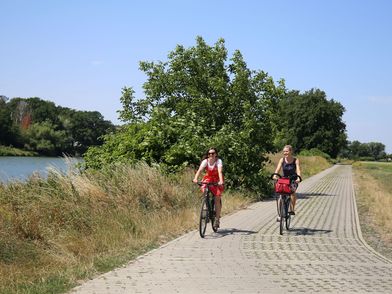 Fahrradtour entlang des Mulderadwegs bei Dehnitz, zu sehen sind zwei Fahrradfahrerinnen auf dem Radweg, der direkt an der Mulde entlang führt © Andreas Schmidt