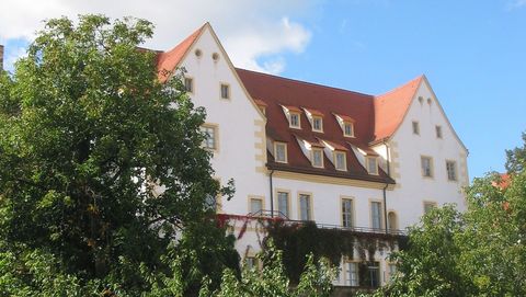 Außenansicht Stadt- und Kulturgeschichtliches Museum Torgau mit Bäumen