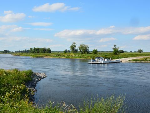 Auf dem Bild sieht man die Elbe und auf der anderen Uferseite hat gerade die Elbfähre Prettin angelegt.