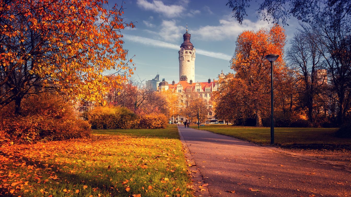 In autumn, the deciduous trees in front of the New Town Hall shine in bright colours.