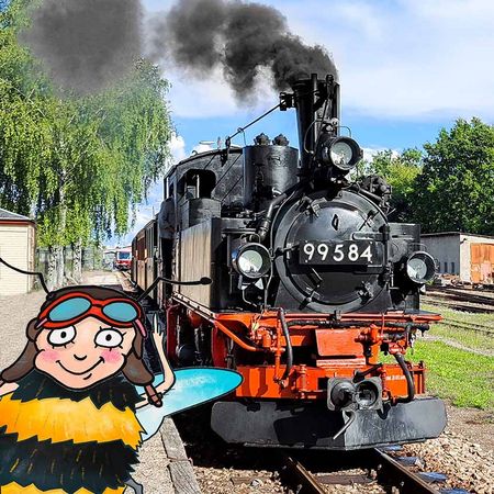 Das Bild zeigt die illustrierte Figur der Hummel Poppy vor der Döllnitzbahn "Wilder Robert"