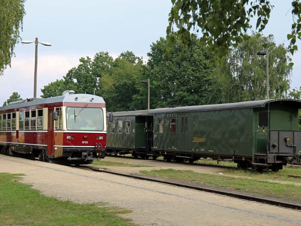 Döllnitzbahn, zu sehen ist die einfahrende Döllnitzbahn, auf einem Gleis dahinter stehen zwei alte Waggons © Andreas Schmidt