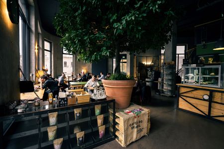 Blick in das Café Franz Morish mit einem großem Baum im Inneren und zahlreichen Gästen, die es sich vor den großen Glasscheiben gemütlich machen