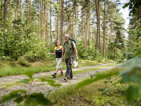 Dahlener Heide, zu sehen sind zwei Wanderer auf einem Waldweg, umgeben von grünen Bäumen © Christian Hüller Fotografie