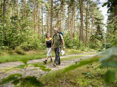 Dahlener Heide, zu sehen sind zwei Wanderer auf einem Waldweg, umgeben von grünen Bäumen © Christian Hüller Fotografie