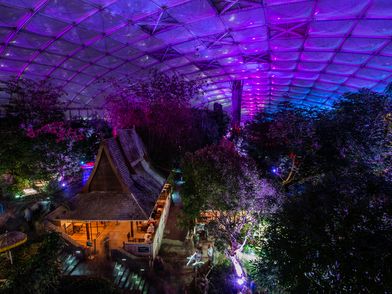 Magisches Tropenleuchten im Zoo Leipzig - Foto: Zoo Leipzig
