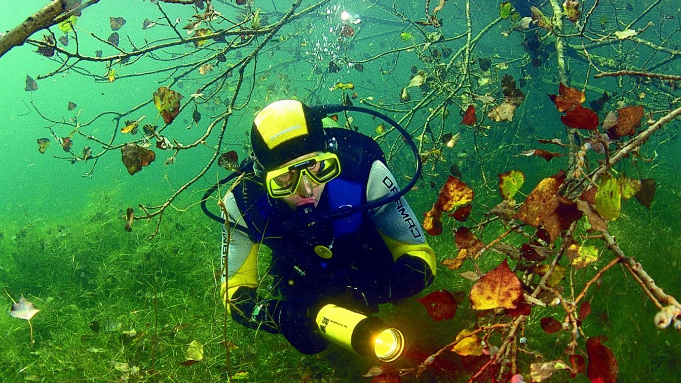 Das Bild zeigt einen Taucher im klaren Grün des Kulkwitzer Sees.