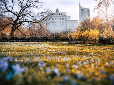 Blick auf die Oper Leipzig mit Park im Vordergrund.