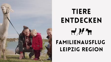 Eine dreiköpfige Familie hält ein Alpaka an der Leine, im Hintergrund ist der Hainer See erkennbar