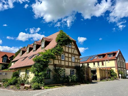 Das Bild zeigt das Hauphaus eines Dreiseitenhofs mit gelben Putz und rotbraunen Fachwerk, bewachsen mit Weinreben.
