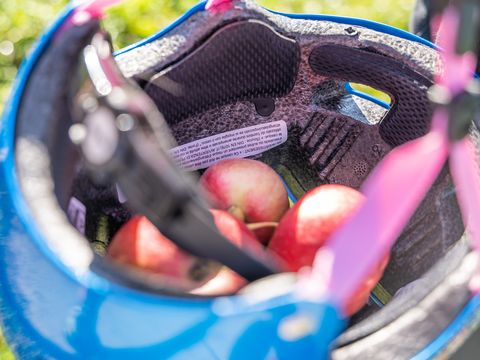 Kinder-Fahrradhelm gefüllt mit Äpfeln, Obstland-Route, Radfahren in der Region Leipzig