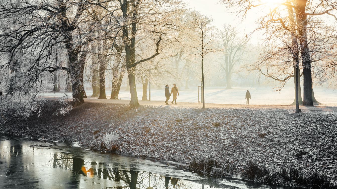 Die Sonne wärmt die Spaziergänger im Clara-Zetkin-Park auch im Winter.