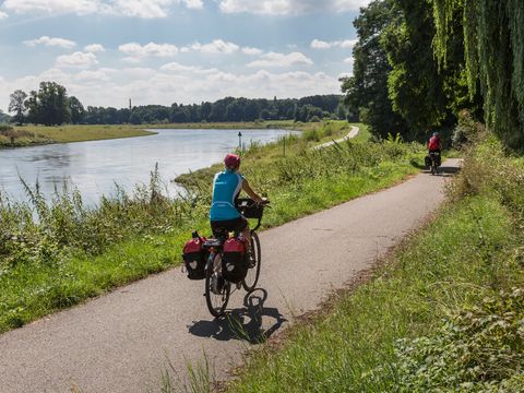 Ein Radfahrer auf dem Elberadweg entlang der Elbe, Radtour, Region Leipzig, Freizeit, Aktiv