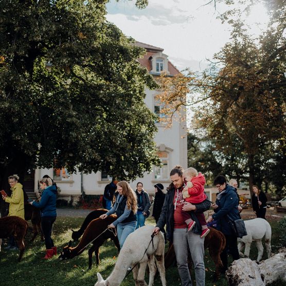 Das Bild zeigt eine junge Familie mit zwei Alpackas.