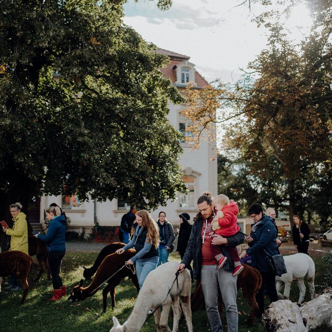 Das Bild zeigt eine junge Familie mit zwei Alpackas.