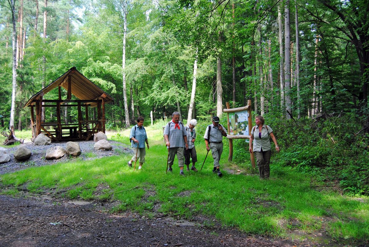 naturpark-d-bener-heide-das-gr-ne-herz-im-norden-sachsens