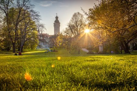 Bei der Lenné-Anlage sitzen an warmen Tagen viele Menschen im Gras.