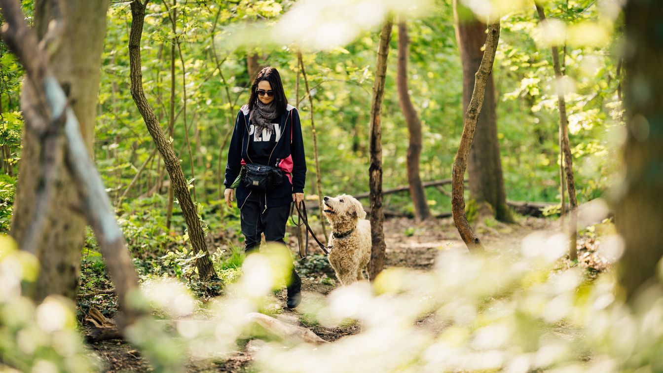 Eine Frau geht mit ihrem Hund im dicht begrünten Rosental in Leipzig spazieren und der Hund schaut sie dabei ganz interessiert an