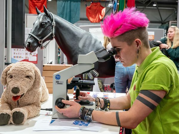 13. Leipziger Tierärztekongress mit der Ausstellung VETEXPO Europe im Januar 2026 | Leipzig Convention Bureau 13. Leipziger Tierärztekongress mit der Ausstellung VETEXPO Europe im Januar 2026 – präsentiert vom Leipzig Convention Bureau