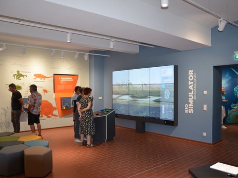 Das Bild zeigt die multimediale und moderne Ausstellung zum Thema Supervulkane mit großen Bildschirmen und interaktiven Informationstafeln..