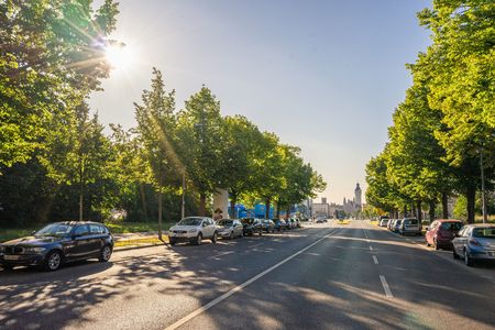 Die Straße des 18. Oktobers ist von grünen Bäumen umgeben.